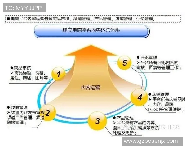深入分析武汉排球队的运营策略与市场推广模式