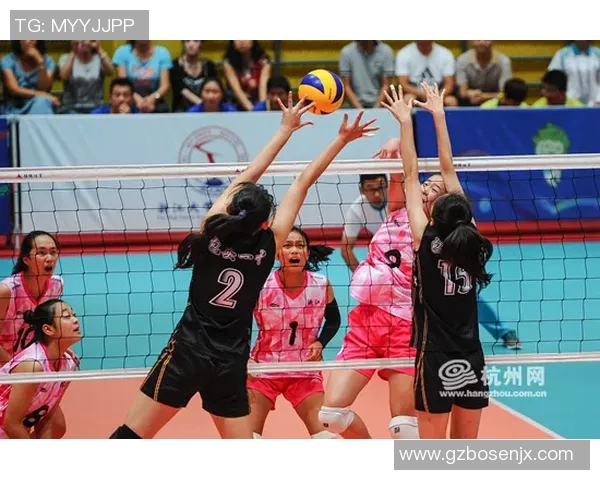 专访赵强揭秘排球成功背后的秘诀与奋斗历程