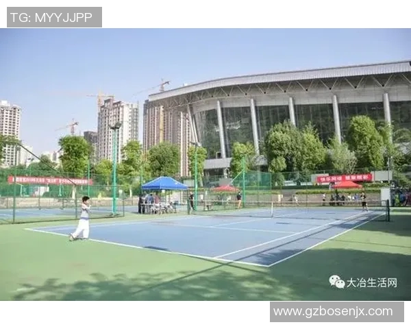 体育实时数据西安网球队的阵地战策略与发展现状深度分析